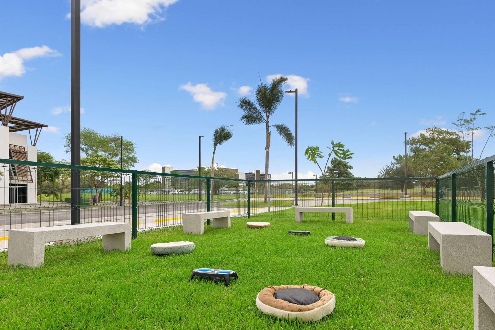 ホテル Hampton By Hilton Guanacaste Airport リベリア エクステリア 写真